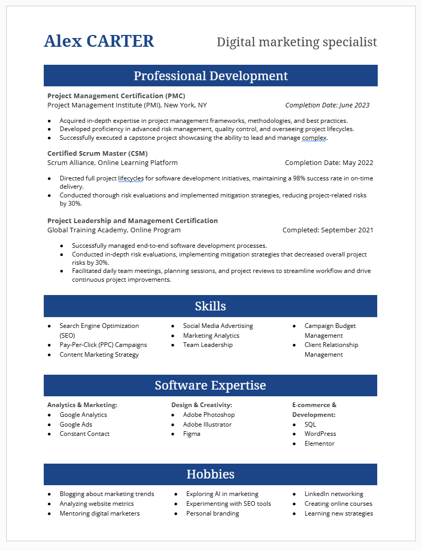 Resume Example 2