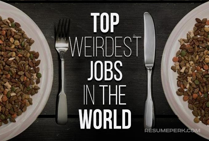 Top weirdest jobs