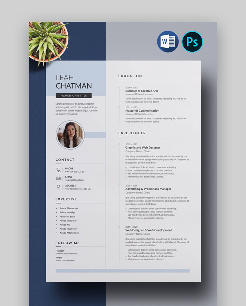 blue minimalist resume